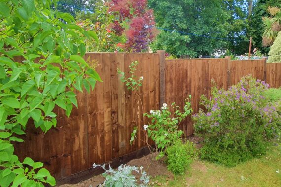Top Drawer Construction installed four foot dark brown wooden garden fence surrounded by shrubbery and grass